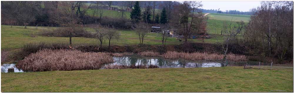 Sanierung Feuerwehrweiher in Lohn